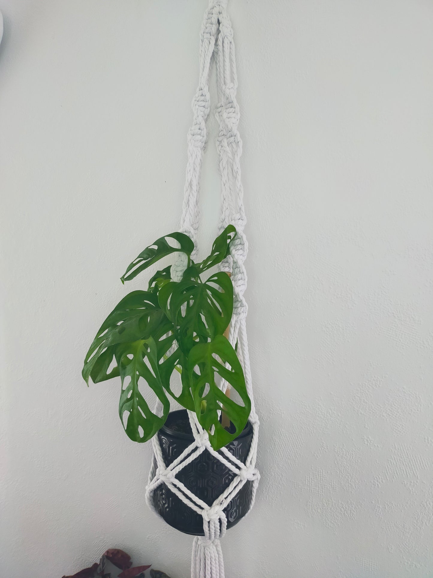 White Plant Hanger